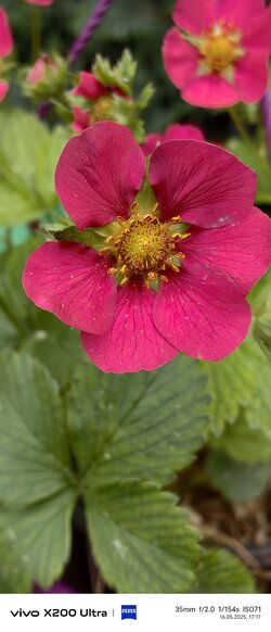 IMG_20250516_171718.jpg