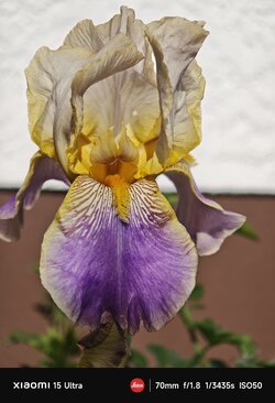 IMG_20250516_174151.jpg