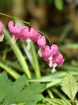 IMG_20250504_174203.jpg