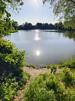 IMG_20250512_182127.jpg