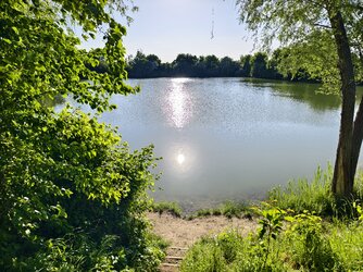 IMG_20250512_182229.jpg