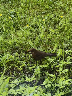 IMG_20250507_154028.jpg