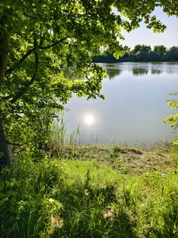 IMG_20250512_181812.jpg