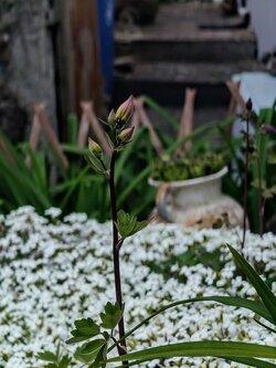 IMG20250516202353~2.jpg
