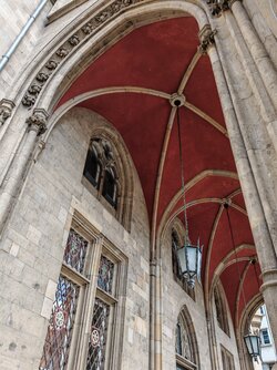 IMG_20250515_145432.jpg