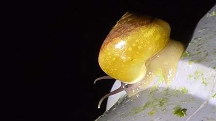 20250514_203411.jpg