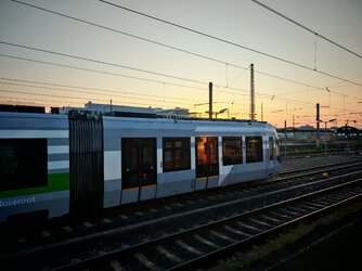 IMG_20250517_054847Authentisch.jpg