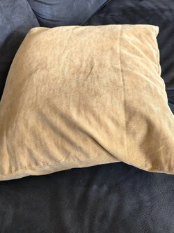 IMG_20250517_080153.jpg