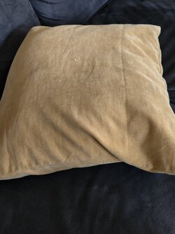 IMG_20250517_080155.jpg