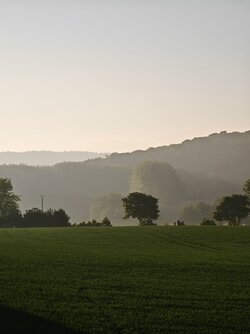 IMG_20250517_063305.jpg