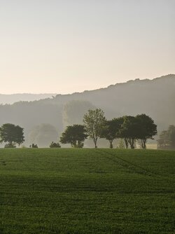 IMG_20250517_063304.jpg