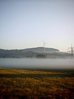 IMG_20250517_061024.jpg