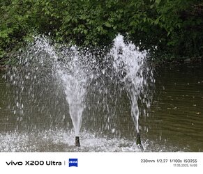 22_Vivo_10x.jpg