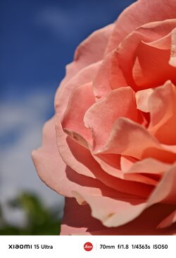 IMG_20250517_171852.jpeg