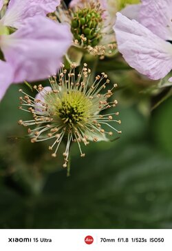 IMG_20250517_172328.jpeg