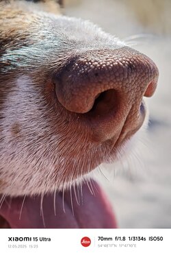 IMG_20250515_115157.jpg