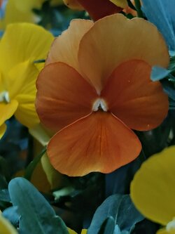 IMG20250517205349~2.jpg