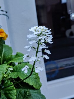IMG20250517210202~2.jpg