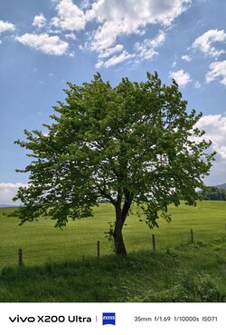 IMG_20250518_114629.jpg