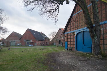 PXL_20250108_125650399r.jpg