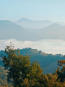 IMG_20221019_185848a.jpg
