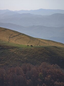 IMG_20221026_205731.jpg