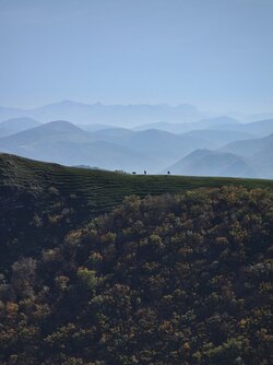 IMG_20221020_163057.jpg
