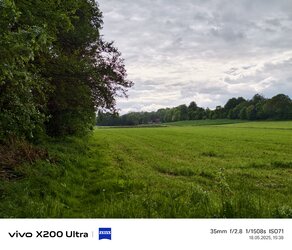 04_Vivo.jpg