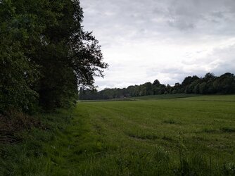 04_GCam.jpg