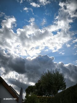 IMG_20250518_172533.jpg