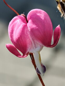 IMG20250518174227~2.jpg