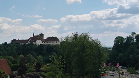 IMG_20250518_131639.jpg