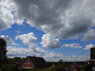 20250518_143503.JPG