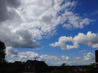20250518_144141.JPG