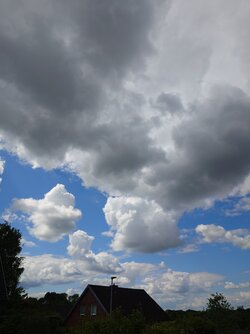 20250518_143637.JPG