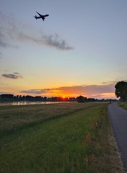 20250518_210913.JPG