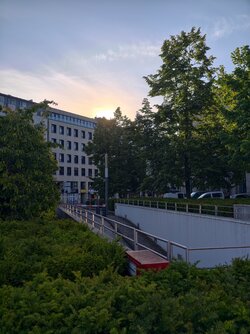 IMG_20250519_065046.jpg