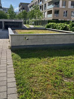 IMG_20250518_174604.jpg