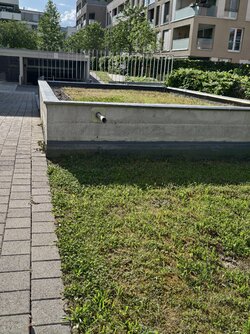 IMG_20250518_174624.jpg