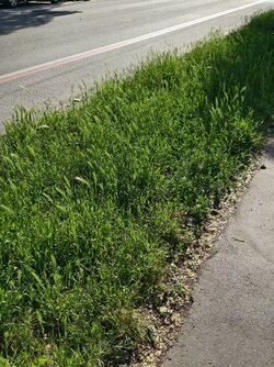 IMG_20250518_174839.jpg