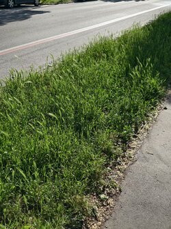 IMG_20250518_174843.jpg