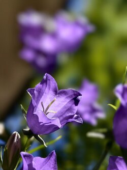 IMG_20250519_133409.jpg