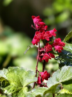 IMG_20250519_131714.jpg