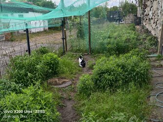 IMG_20250519_144347.jpg
