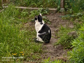 IMG_20250519_144402.jpg