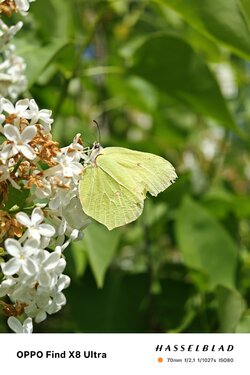 IMG_20250519_221925.jpg