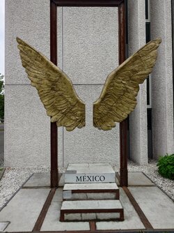 20250519_153002.JPG