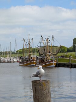 PXL_20250514_110524490.jpg