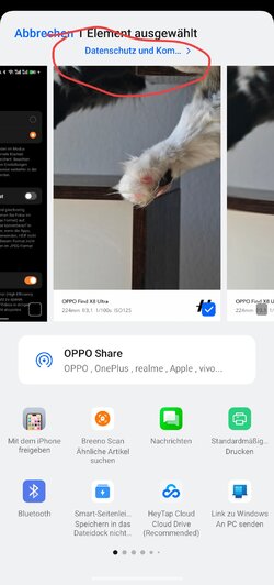 Screenshot_2025-05-20-11-04-58-86_99c04817c0de5652397fc8b56c3b3817.jpg