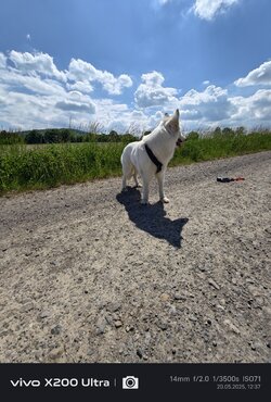 IMG_20250520_123715.jpg